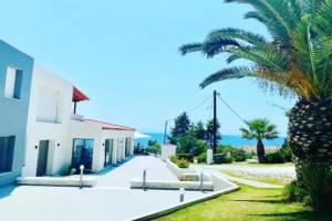 Alexandrina, Kassandra