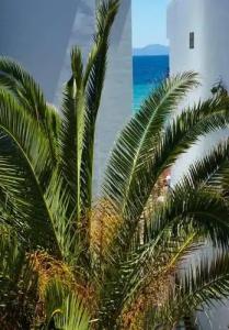 Margarita Sea Side - 42