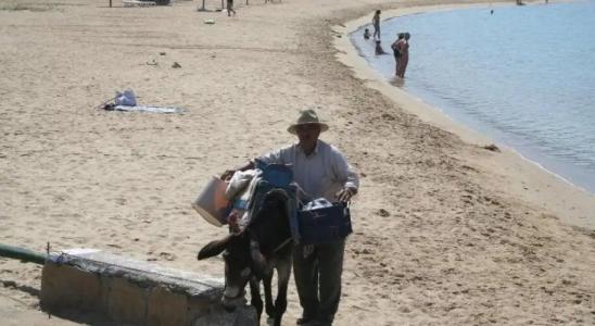 Petra Holiday Village - 28