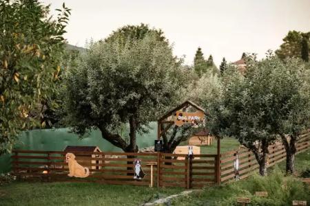 Epirus Palace Congress & Spa - 28