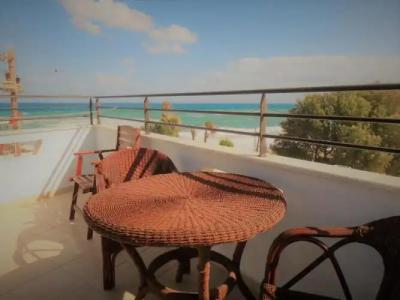 Diogenis Blue Palace - 53