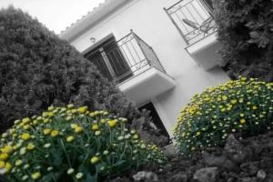 Guest House «Acroploro», Galaxidhion
