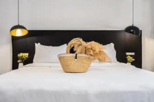 Kalypso Hotel, Elounda