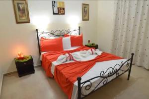 Neraida Studios, Tsilivi-Planos
