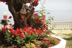 Apartments Corfu Sun Sea Side, Benitses