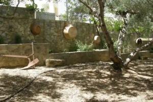 Eleftheria Studios, Balion