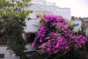 Sunlight Hotel, Agia Galini