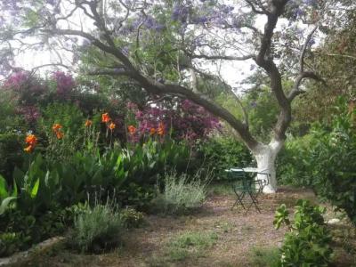 Archontiko Angelou - 12