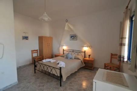 Thira's Dolphin - 36