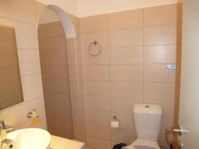 Thira's Dolphin - 46