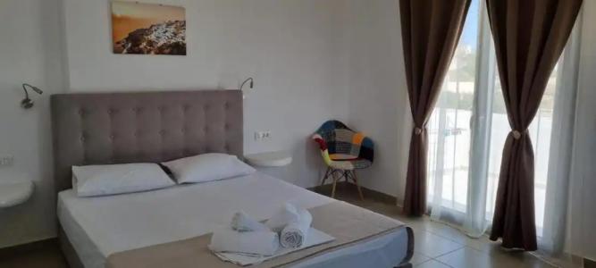 Thira's Dolphin - 113