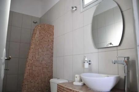 Thira's Dolphin - 19