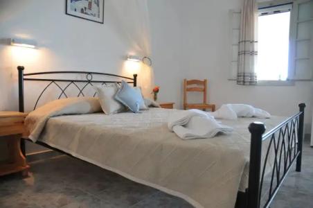 Thira's Dolphin - 38