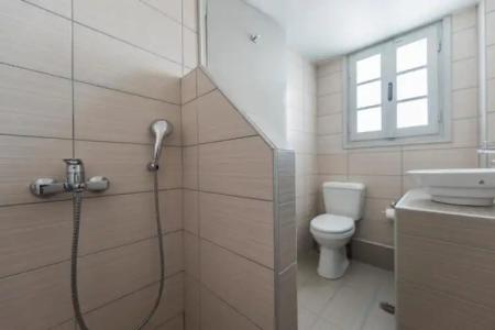 Thira's Dolphin - 60