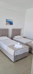 Thira's Dolphin - 40