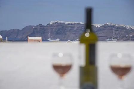 Thira's Dolphin - 15