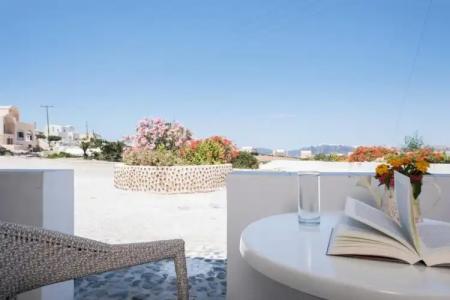 Thira's Dolphin - 55