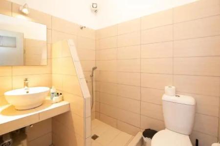 Thira's Dolphin - 45