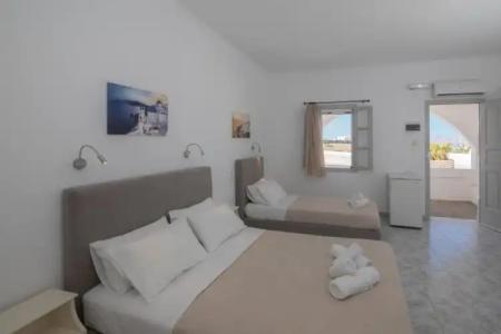 Thira's Dolphin - 43