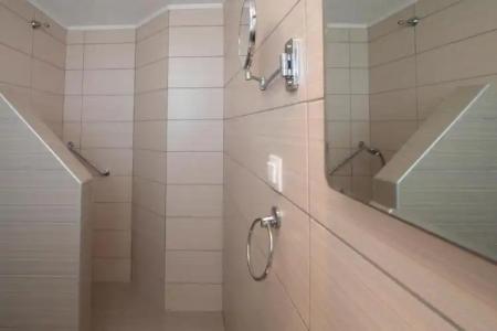 Thira's Dolphin - 133