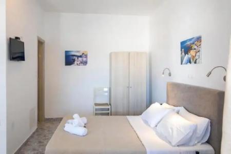 Thira's Dolphin - 53