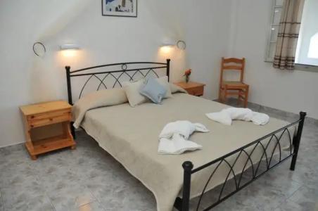 Thira's Dolphin - 57