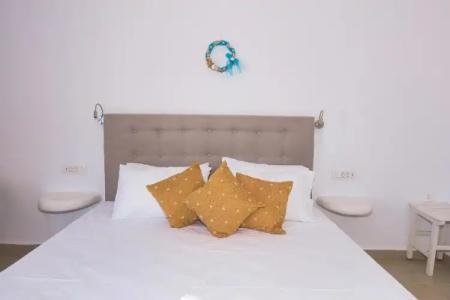 Thira's Dolphin - 120