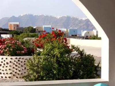 Thira's Dolphin - 47