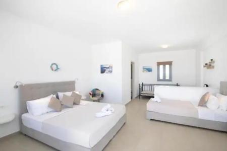 Thira's Dolphin - 61