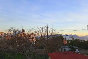 Hotel Aegina, Aegina Town