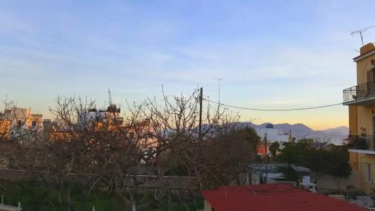 Aegina