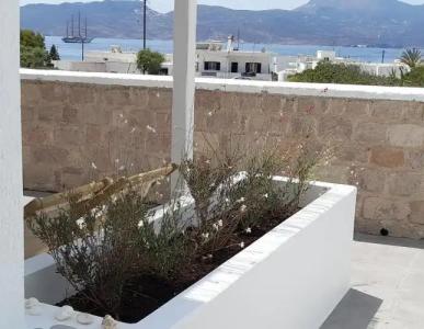 Ippocampos Studios - 27