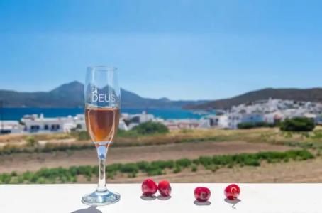 Ippocampos Studios - 169