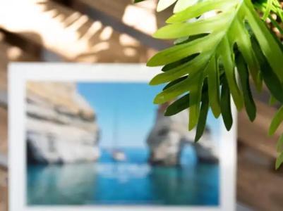 Ippocampos Studios - 71