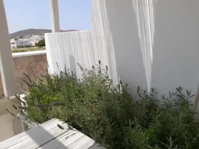 Ippocampos Studios - 70