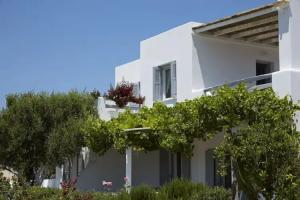 Iliana Olive Branch, Adamas