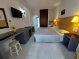 Standard Double room with garden view