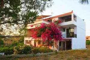 Stroubis Studios I, Chios Town