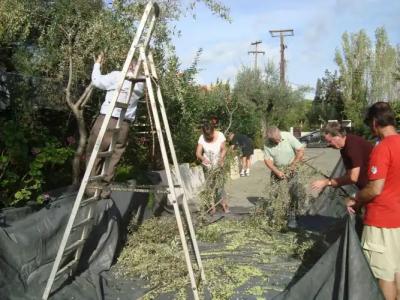 Castelli-Adults Only - 27