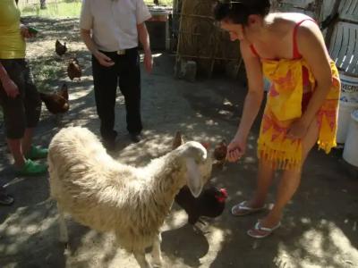 Castelli-Adults Only - 24