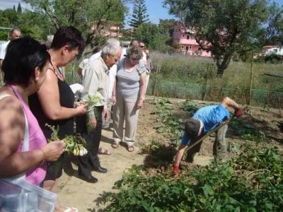 Castelli-Adults Only - 26