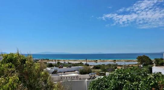 Proteas & Suites - 368