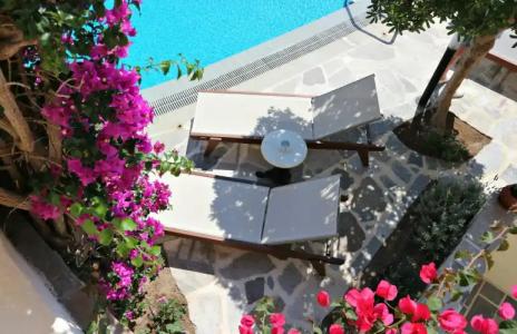 Proteas & Suites - 34