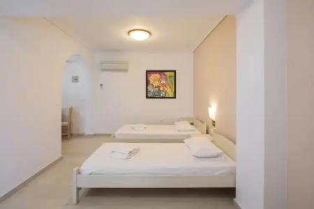 Proteas & Suites - 289