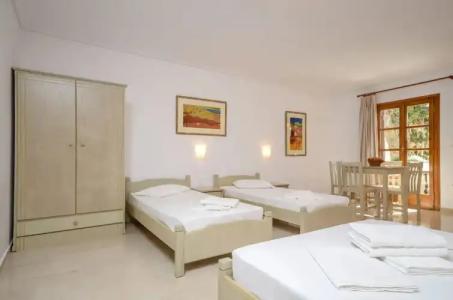 Proteas & Suites - 166