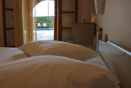 Proteas & Suites - 101