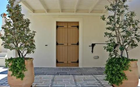 Proteas & Suites - 333