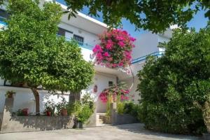 Yiannis Yard studios & apartments, Kos Town