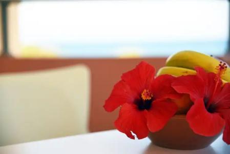 Iolkos Apartments - 140