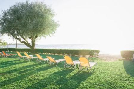 Tzaki & restaurant Patras - 30